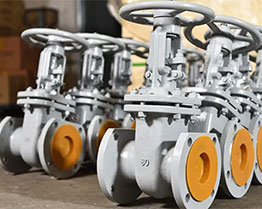 The Brief Induction on Control Valve Types